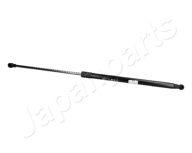 ZS06006
