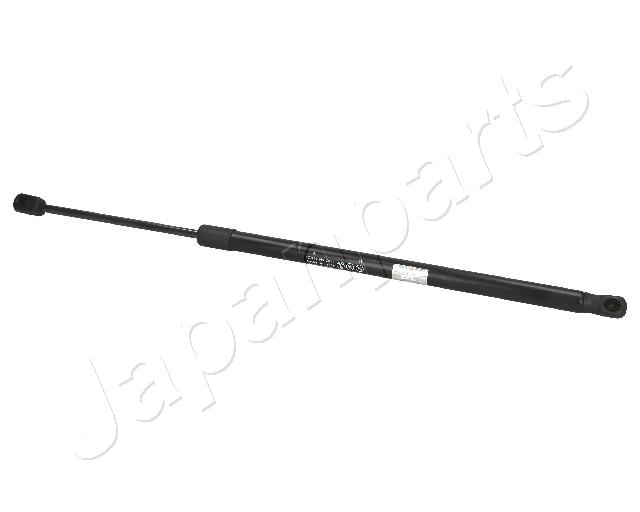 ZS06106