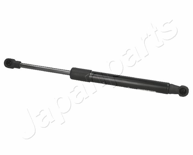 ZS01041