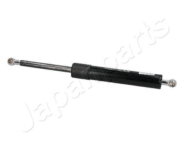 ZS05019
