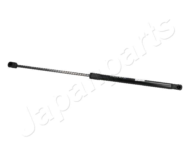 ZS10010