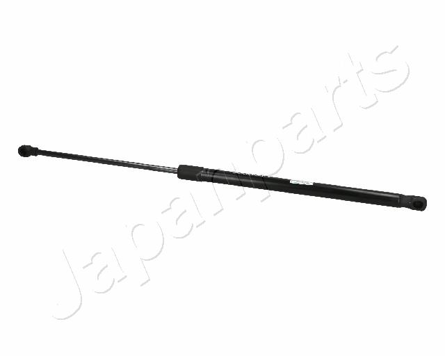 ZS06010