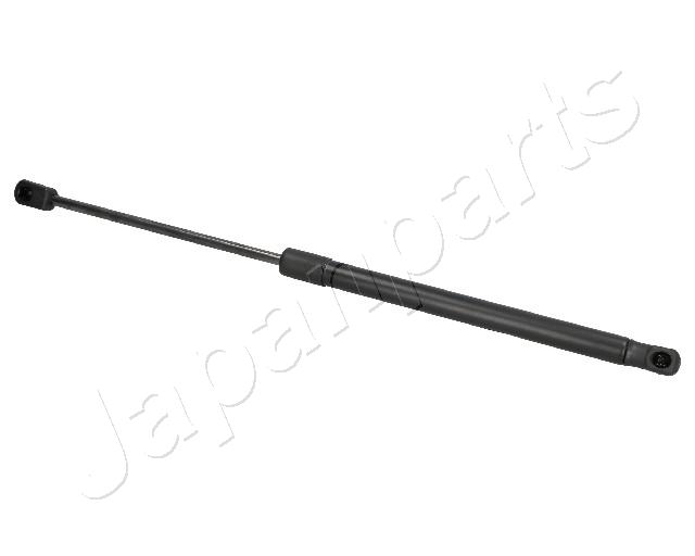 ZS07018