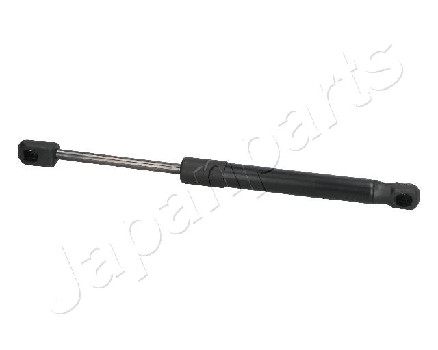 ZS09088
