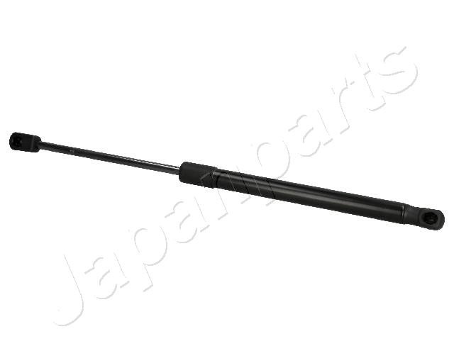 ZS09013