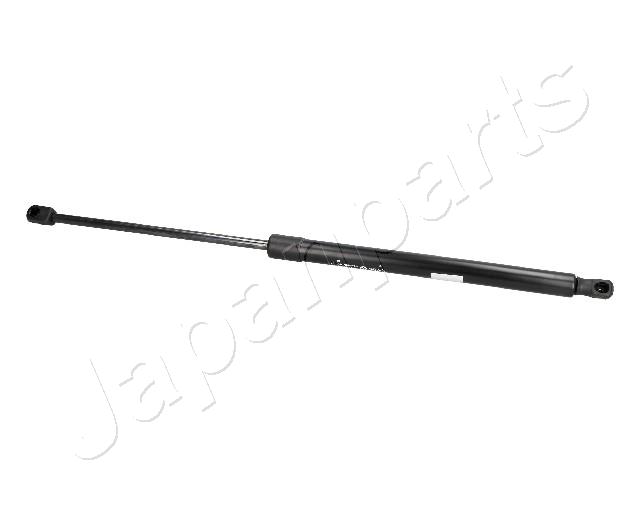 ZS09172