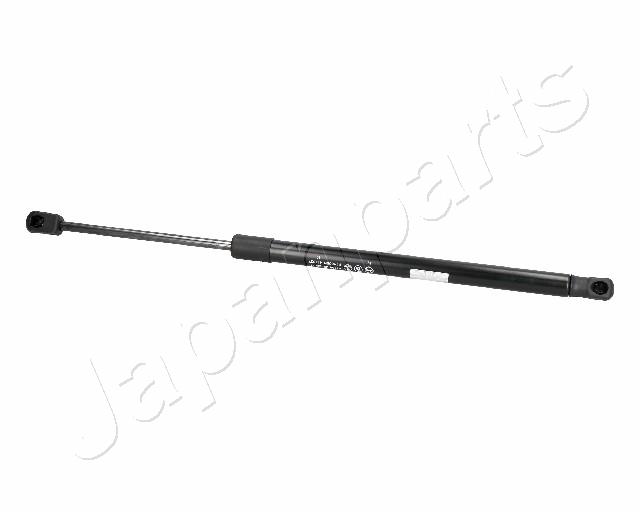 ZS06011