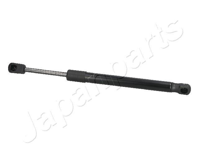 ZS09058
