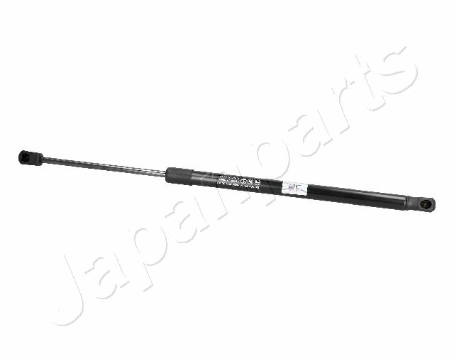 ZS06068