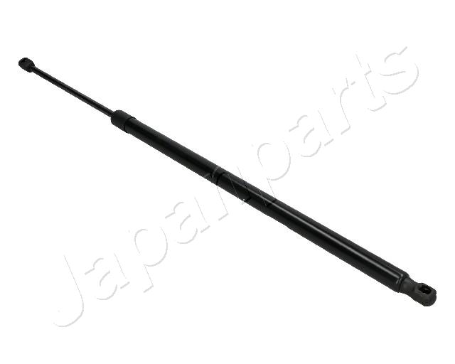 ZS10036