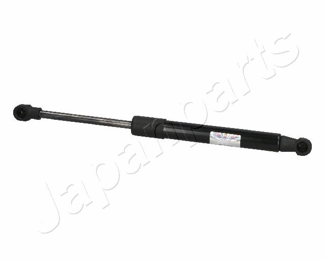 ZS06103