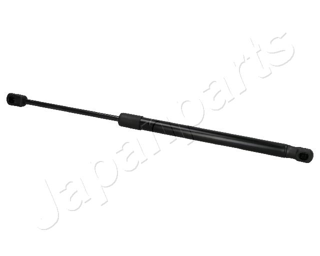 ZS01090