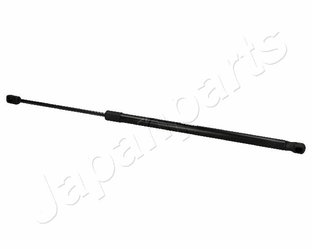 ZS00021
