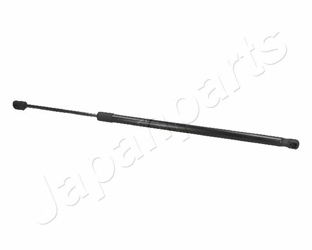 ZS01064