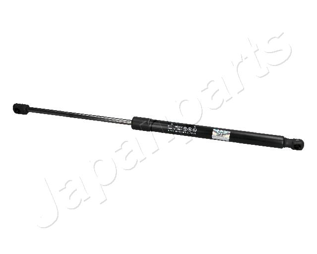 ZS10045