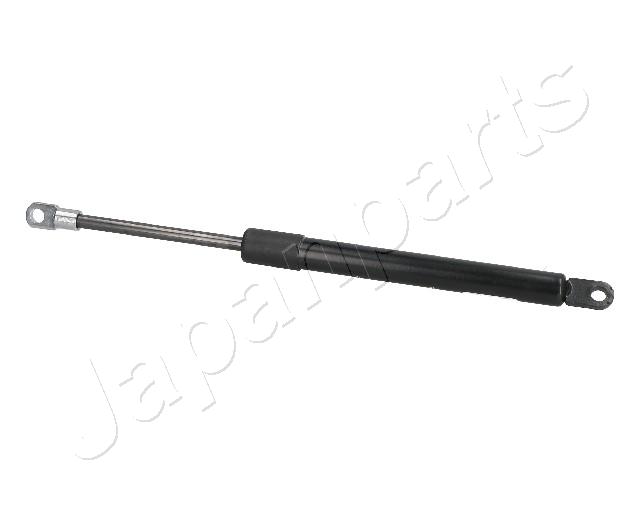 ZS09096
