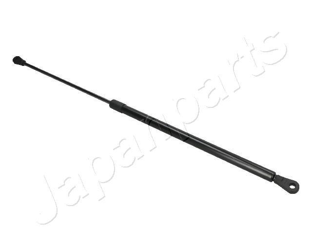 ZS09076