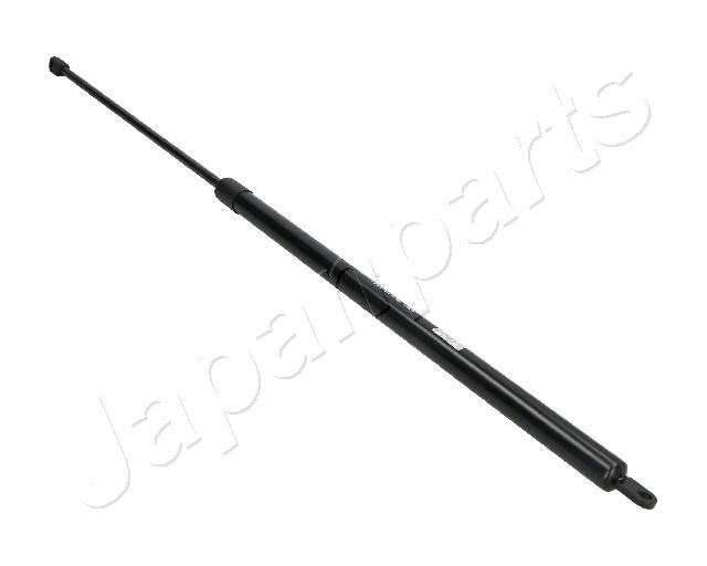 ZS09036