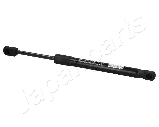 ZS01014