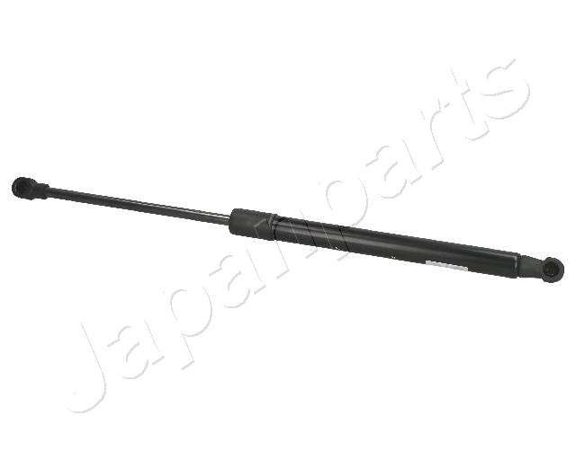 ZS01048