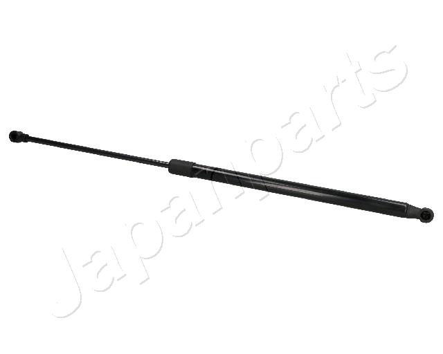 ZS07029