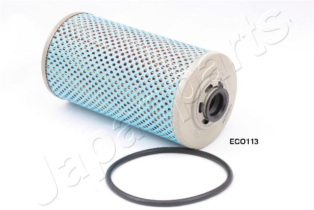 FO-ECO113