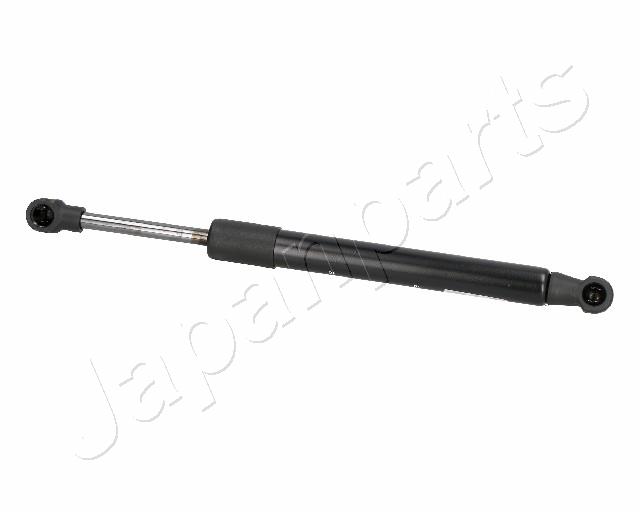 ZS01085