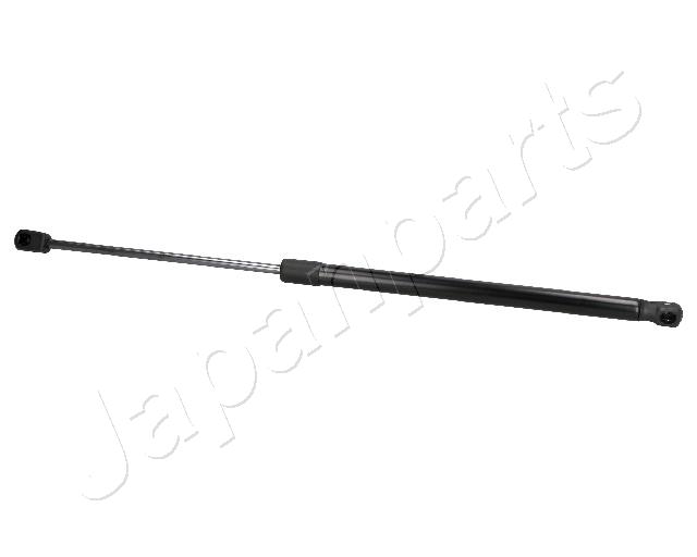 ZS03019