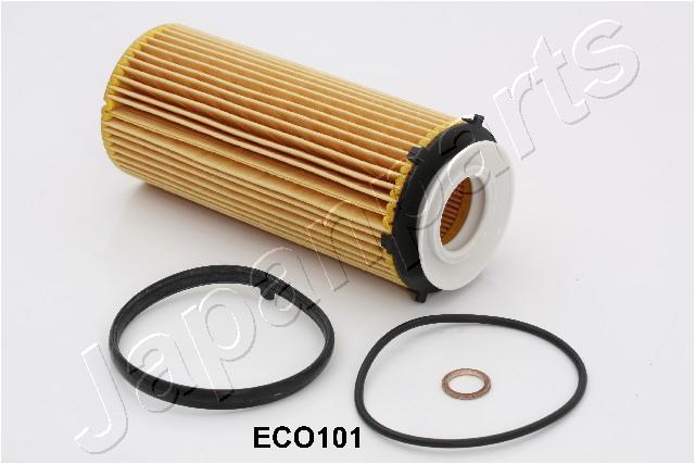 FO-ECO101