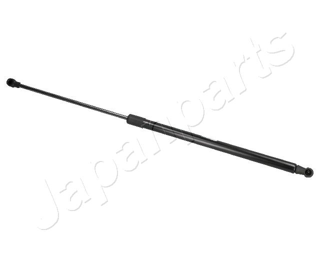 ZS07055