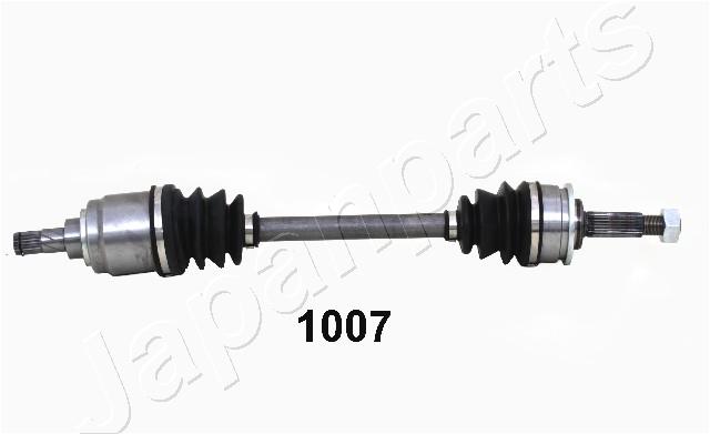 GI-1007