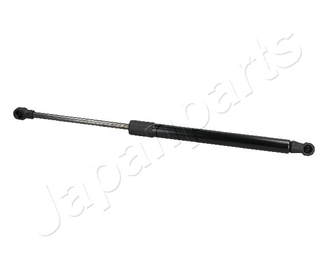ZS06007