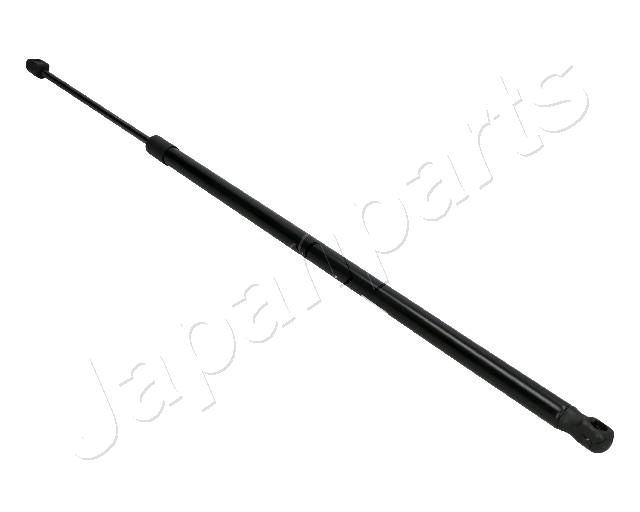 ZS10028