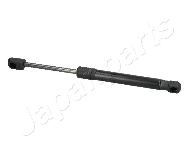 ZS09025
