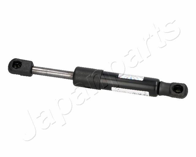 ZS06070