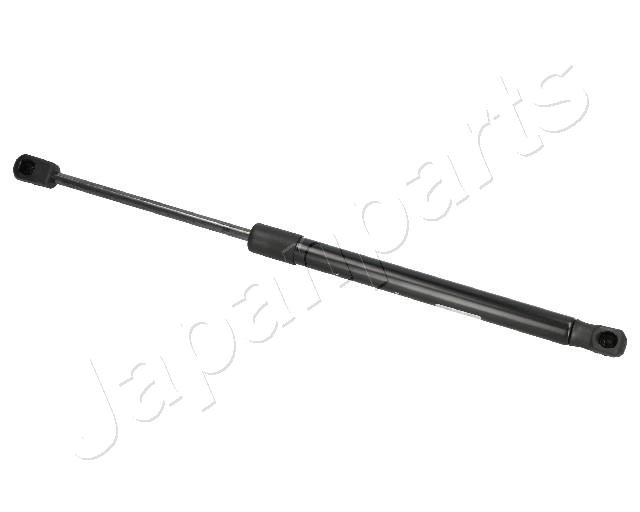 ZS09012