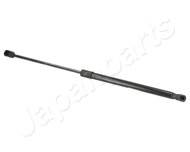ZS09169