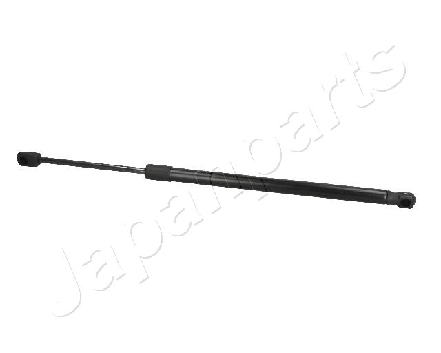 ZS09209