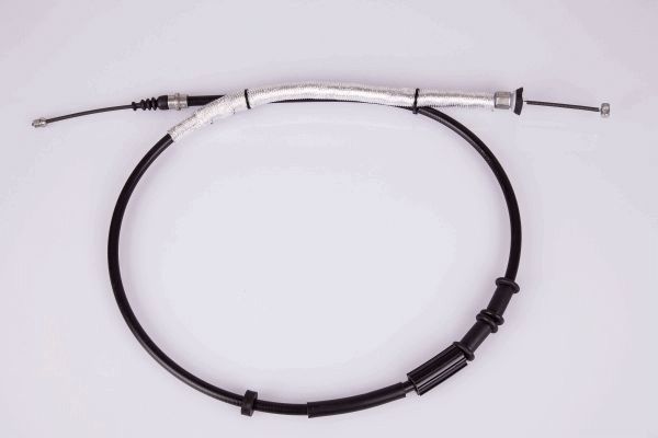 8AS355661301