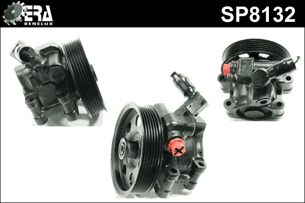 SP8132