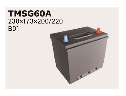 TMSG65A