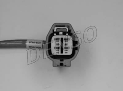 DLS-248