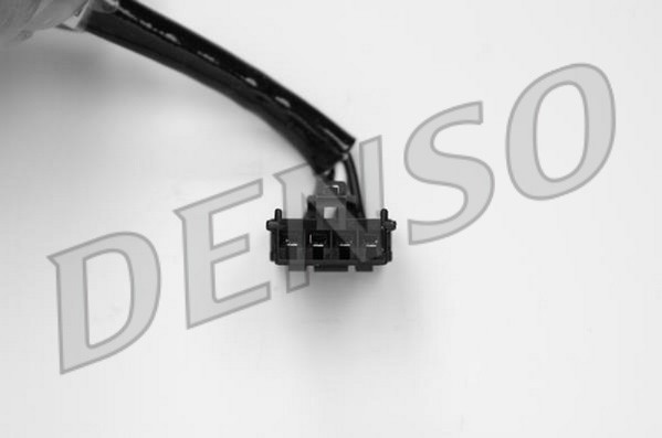 DLS-339