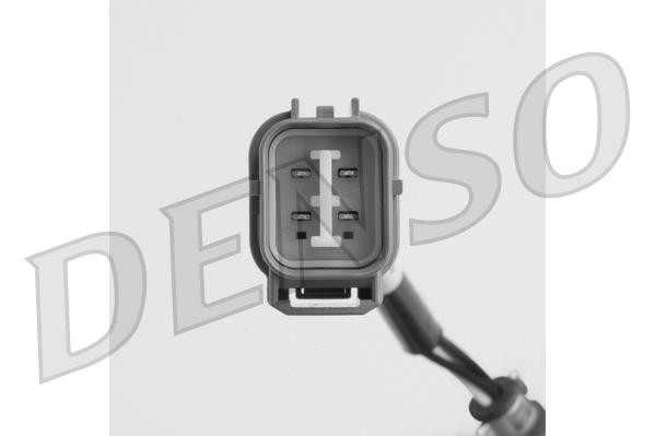 DLS-379