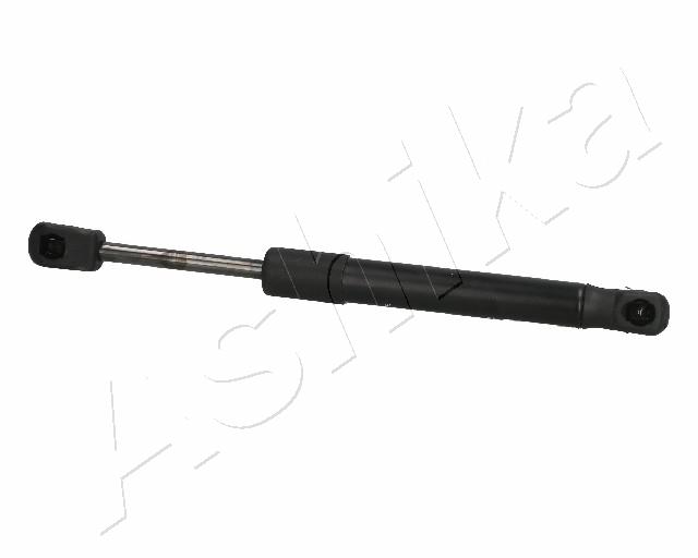 ZSA02049