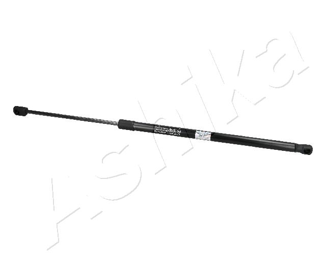ZSA06001