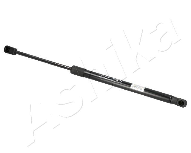 ZSA07040
