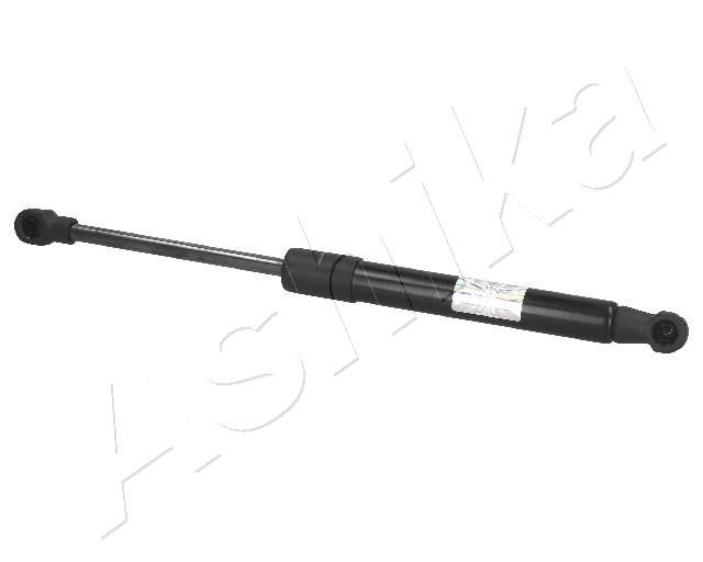 ZSA01039