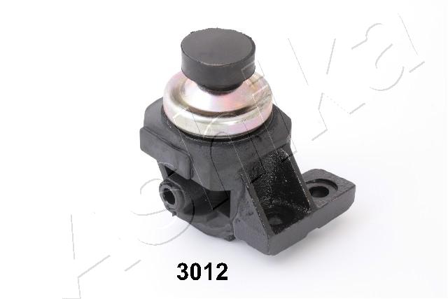 GOM-3012