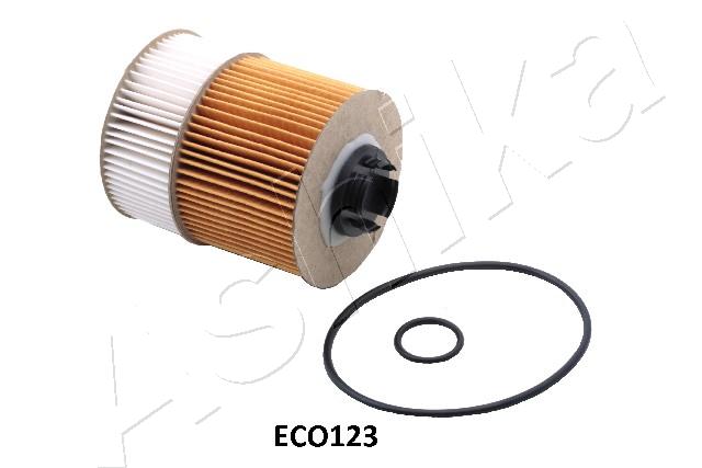 10-ECO123